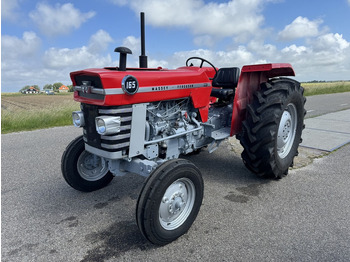 Traktör MASSEY FERGUSON 100 series