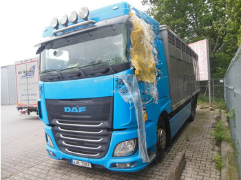 Hayvan nakil aracı kamyon DAF XF 106 460