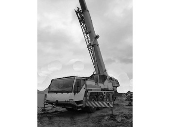 Mobil vinç LIEBHERR LTM 1060/2