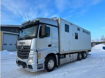 Hayvan nakil aracı kamyon MERCEDES-BENZ Actros