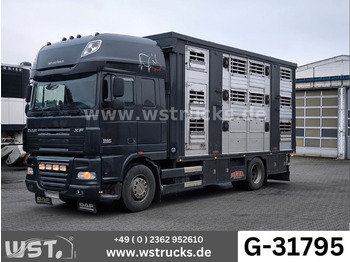 Hayvan nakil aracı kamyon DAF XF 510