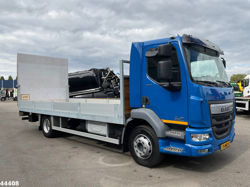 Araba taşıyıcı kamyon DAF FA LF 250 Euro 6 Autotransporter met laadklep: fotoğraf 6